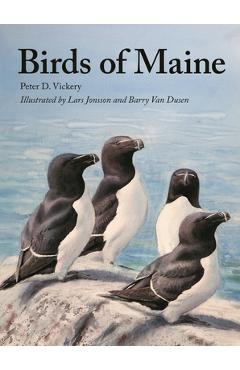 Birds of Maine - Peter Vickery