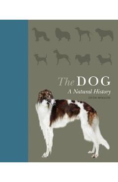 The Dog: A Natural History - �d�m Mikl�si