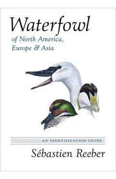 Waterfowl of North America, Europe, and Asia: An Identification Guide - S�bastien Reeber