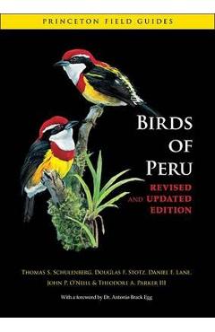 Birds of Peru - Thomas S. Schulenberg