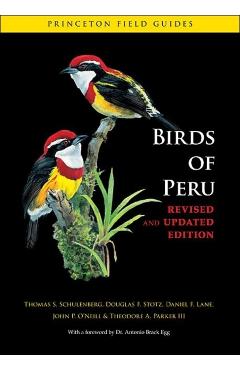 Birds of Peru - Thomas S. Schulenberg