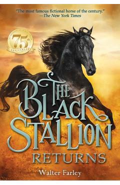 The Black Stallion Returns - Walter Farley