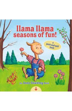 Llama Llama Seasons of Fun!: A Push-And-Pull Book - Anna Dewdney