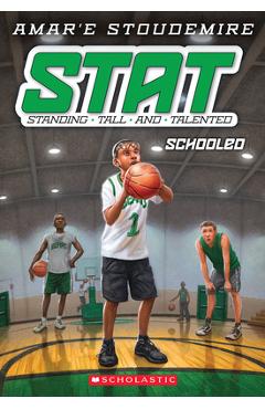 Stat #4: schooled - amar'e stoudemire