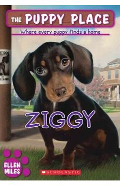 Ziggy - Ellen Miles