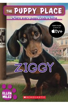 Ziggy - Ellen Miles
