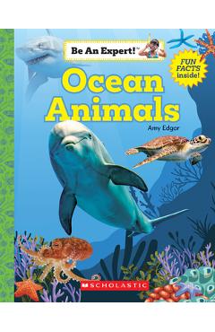 Ocean Animals (Be an Expert!) (Paperback) - Amy Edgar