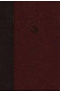 NKJV, Spirit-Filled Life Bible, Third Edition, Imitation Leather, Burgundy, Indexed, Red Letter Edition, Comfort Print: Kingdom Equipping Through the - Jack W. Hayford