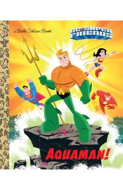 Aquaman! (dc super friends) - frank berrios