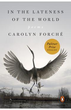 In the Lateness of the World: Poems - Carolyn Forch�