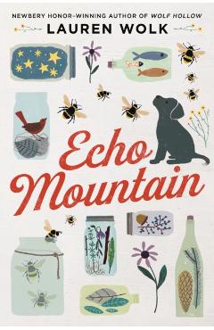 Echo Mountain - Lauren Wolk