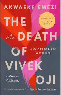 The Death of Vivek Oji
