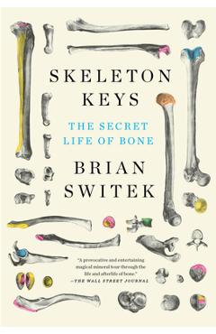 Skeleton Keys: The Secret Life of Bone - Riley Black (brian Switek)