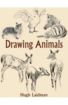 Drawing Animals - Hugh Laidman