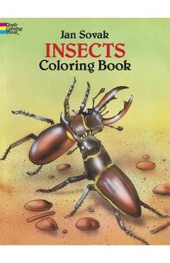 Insects Coloring Book