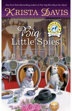Big Little Spies
