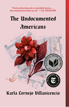 The Undocumented Americans - Karla Cornejo Villavicencio