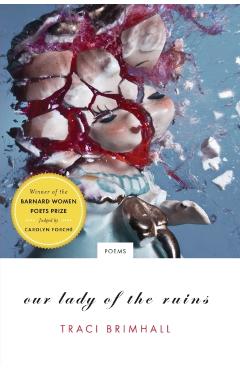 Our Lady of the Ruins: Poems - Traci Brimhall