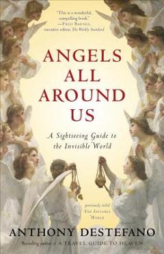 Angels All Around Us: A Sightseeing Guide to the Invisible World - Anthony Destefano