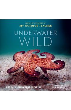 Underwater Wild: My Octopus Teacher\'s Extraordinary World - Craig Foster