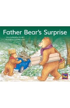 Father Bear\'s Surprise: Leveled Reader Green Fiction Level 13 Grade 1-2 - Hmh Hmh