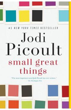 Small Great Things - Jodi Picoult