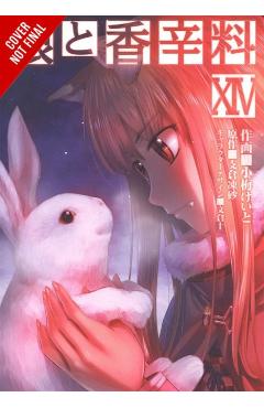 Spice and Wolf, Vol. 14 (Manga) - Isuna Hasekura