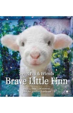 Brave Little Finn - Jennifer Churchman