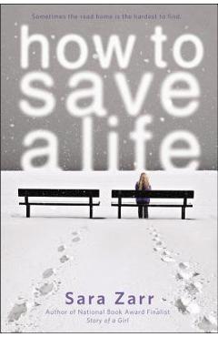 How to Save a Life - Sara Zarr - Imagine 1