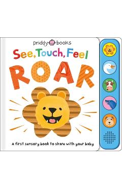 See, Touch, Feel: Roar: A First Sensory Book - Roger Priddy