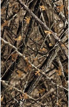 Niv, Outdoorsman Bible, Lost Camo Edition, Leathersoft, Red Letter Edition, Comfort Print: The Field-Ready Cover Blends in But the Words Stand Out wit - Jason Cruise