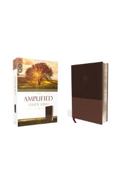Amplified Study Bible, Imitation Leather, Brown - Zondervan