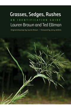 Grasses, Sedges, Rushes: An Identification Guide - Lauren Brown