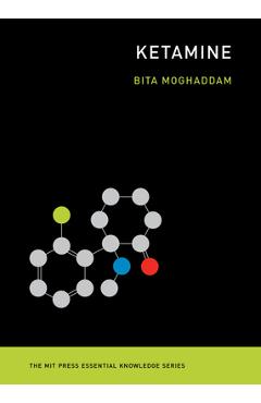 Ketamine - Bita Moghaddam