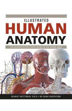 Illustrated Human Anatomy: The Authoritative Visual Guide to the Human Body - Sharat Vayttaden