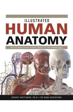 Illustrated Human Anatomy: The Authoritative Visual Guide to the Human Body - Sharat Vayttaden
