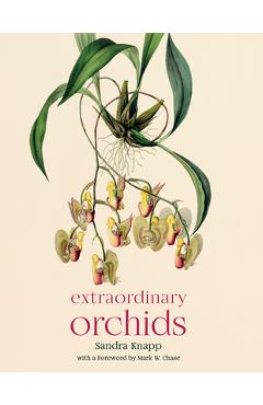 Extraordinary Orchids - Sandra Knapp