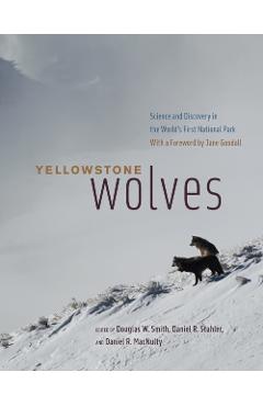 Yellowstone Wolves: Science and Discovery in the World's First National Park - Douglas W. Smith