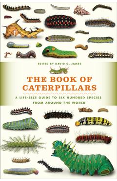 The Book of Caterpillars: A Life-Size Guide to Six Hundred Species from Around the World - David G. James