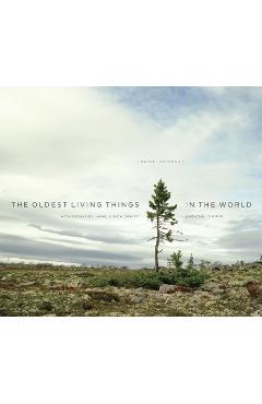 The Oldest Living Things in the World - Rachel Sussman