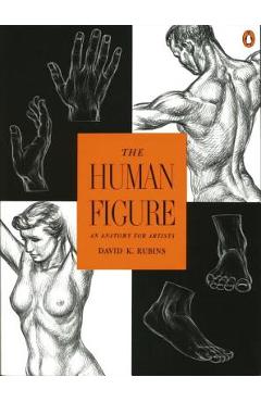 The Human Figure: An Anatomy for Artists - David K. Rubins
