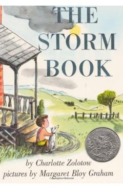 The Storm Book - Charlotte Zolotow