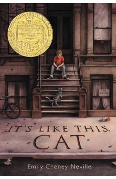 It's Like This, Cat - Emily Cheney Neville