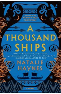A Thousand Ships - Natalie Haynes