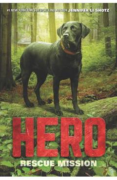 Hero: Rescue Mission - Jennifer Li Shotz