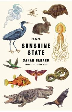 Sunshine State: Essays - Sarah Gerard