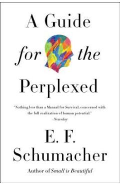 A Guide for the Perplexed - E. F. Schumacher