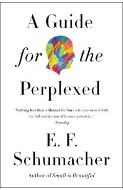 A Guide for the Perplexed - E. F. Schumacher