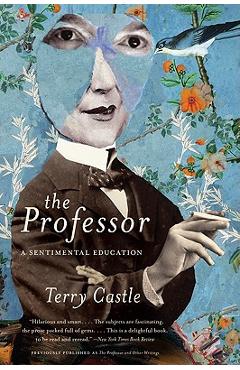 The Professor: A Sentimental Education - Terry Castle
