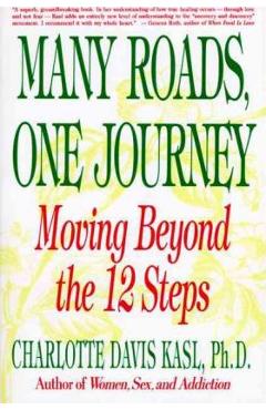 Many Roads One Journey: Moving Beyond the Twelve Steps - Charlotte S. Kasl